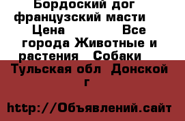 Бордоский дог ( французский масти)  › Цена ­ 50 000 - Все города Животные и растения » Собаки   . Тульская обл.,Донской г.